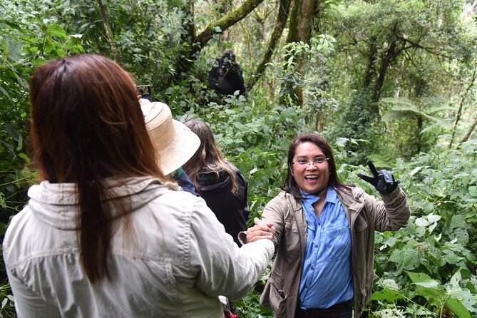 8-Day Private Uganda Big 5 Luxury Safari With Gorillas and Chimps - Luxury Accommodations and Dining Experiences