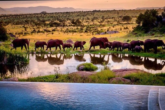 8-Day Tanzania Private Safari Tour With Airport Pickup - Frequently Asked Questions
