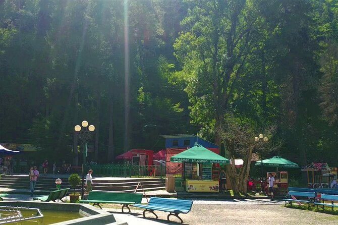 8 Days/7 Nights Tbilisi-Kutaisi-Batumi Tour in Georgia All-inclusive - Customer Support and Feedback