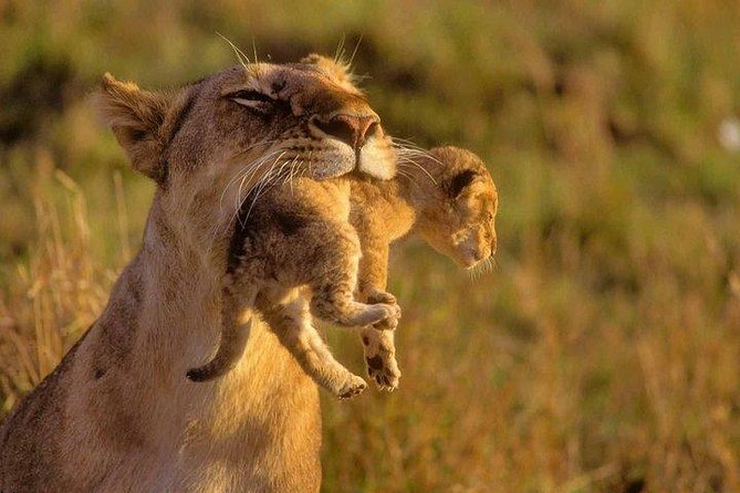 9 Days Kenya Classic Lodge Safari - Participation Requirements