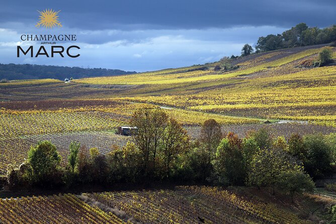 A Unique Sensory Experience in the Vineyards - Meeting and Pickup Details