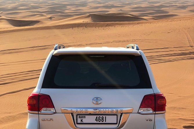 Abu Dhabi Morning Desert Safari - Private Car - Accessibility Considerations