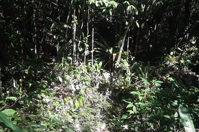Accompong Town Of The Maroons Day Adventure - Booking and Cancellation Policy