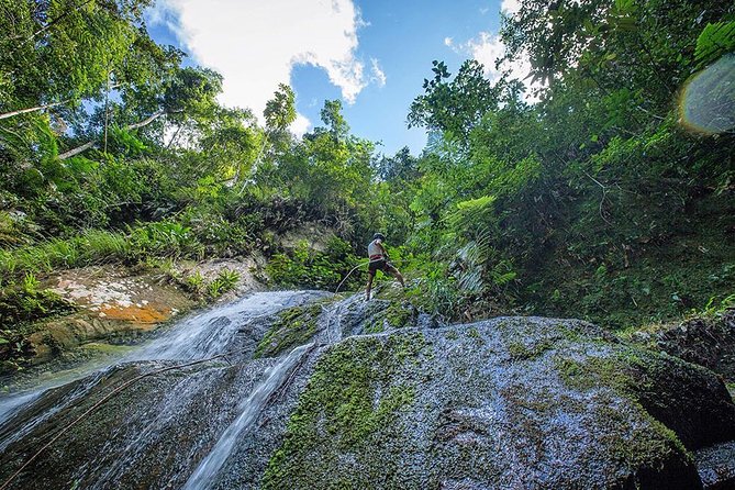 Adventure and Relaxation - Impressive Review Ratings