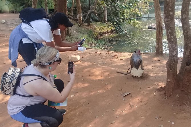 Adventure Trincomalee to Sigiriya and Wild Safari ,Village Tour - Pickup Information