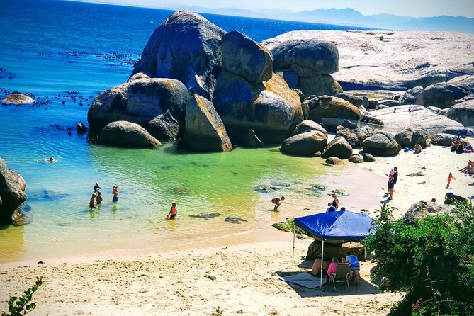 African Penguins (Boulders Beach) Half Day Tour From Cape Town - Traveler Feedback