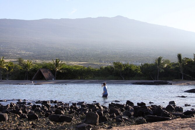 Afternoon Beach Fishing Trip in Hawaii - Alternatives and Recommendations