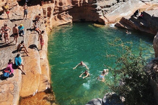 Agadir: Bath at Paradise Valley and Atlas Mountains - Traveler Feedback and Concerns