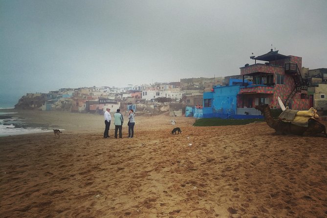 Agadir Trip To Mini Desert / Safari Tour - Customer Reviews and Feedback