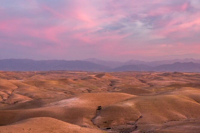 Agafay Sahara Trips and Activities From Marrakech - Activities and Experiences in the Agafay