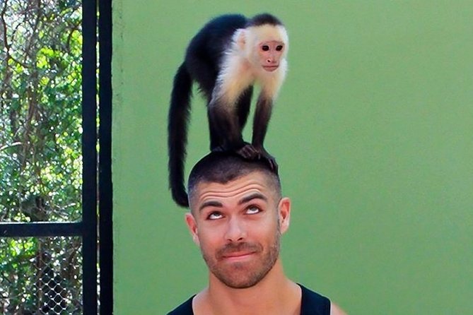 Akumal Monkey Sanctuary - Guided Tour Highlights