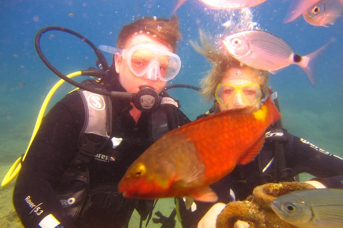 Alanya: Scuba Diving Experience for Beginners - What to Expect Underwater