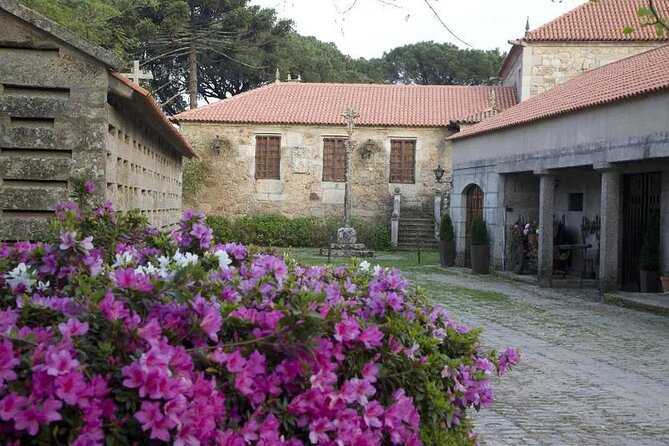 Albariño Private Wine Tour in Rias Baixas Review - Since You Asked