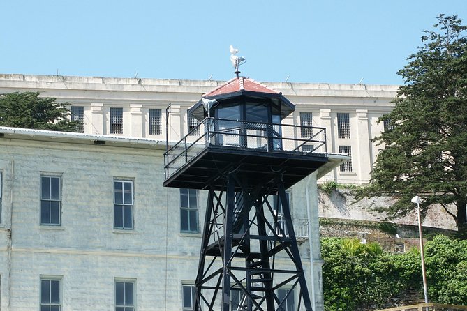 Alcatraz Tour Plus Muir Woods and Sausalito Day Trip - Meeting and Transportation Details