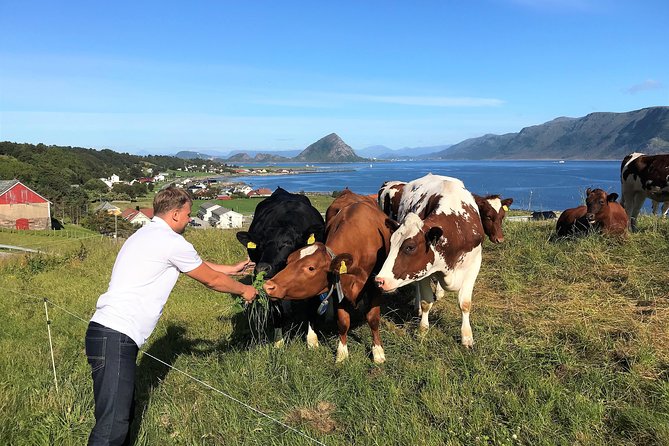 Alesund Sightseeing Tour Review: A Perfect Adventure - Booking and Inclusions