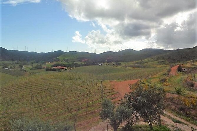 Algarve Wine Tour and Farmers Lunch at Wine Estate - Farmers Lunch Experience