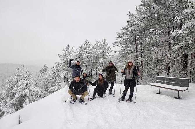 Algonquin Park Winter Adventure - Itinerary