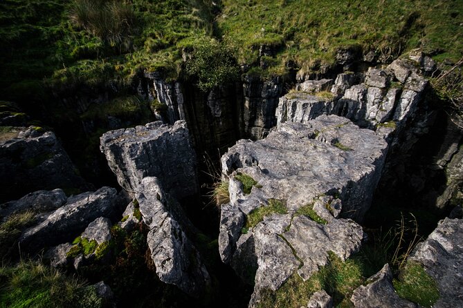 All Creatures Great & Small Tour Review - Scenic Attractions