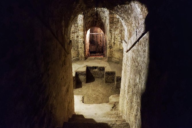 All the Wonders of the Bologna Hills - Engaging With a Knowledgeable Guide