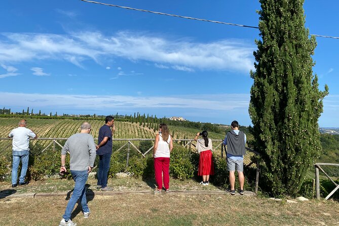 Among Ancient Sunny Vineyards, Visit and Taste the Wines From the San Lorenzo Cellar - Reviews and Guest Feedback