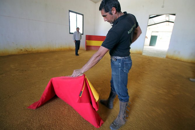 Andalucia Bull and Horse Farm and Ronda Private Tour From Malaga - Ask Away