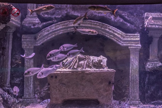 Aquarium & Face2face Wax Museum From Kemer - About the Operator