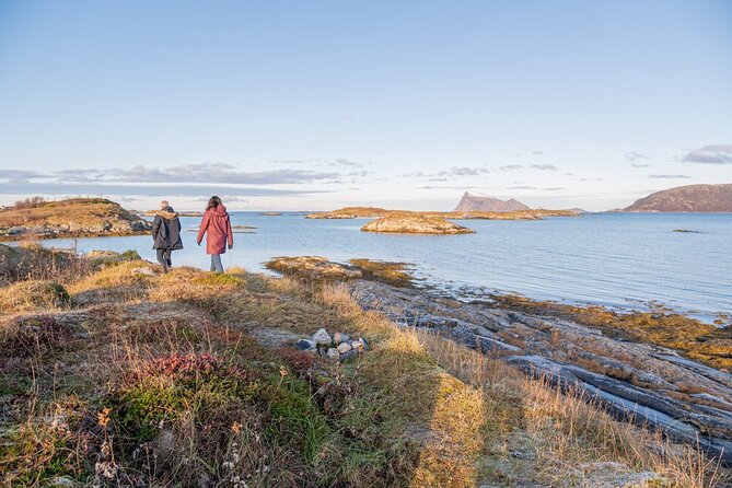 Arctic Roadtrip: Fjords With Scenic Picnic | Small Group 4x4 Van - Scenic Picnic Spot