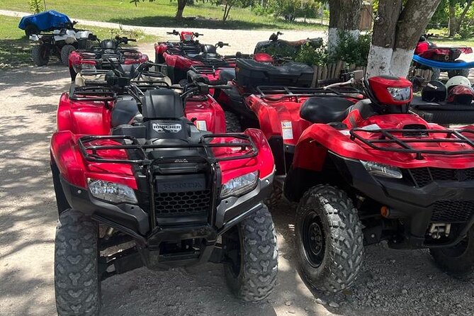 ATV and Horse Back Ridding From Montego Bay - Transportation and Pickup