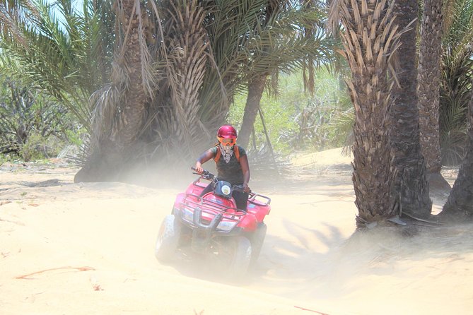 ATV Desert & Beach Ride Over the Mountains and Through Migrino Beach! - Taking in the Diverse Ecosystem