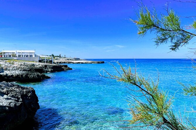 Audio-Video Guide of Bari - Public Transportation Options