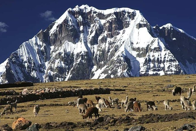 Ausangate Trek - Pricing and Reviews
