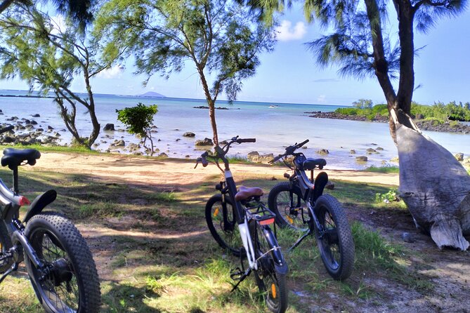 Authentic North East Coast E-bikes Guided Tour - Booking and Cancellation