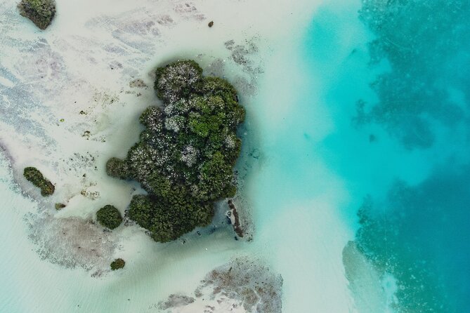 Bacalar Sunrise Stand up Paddle Board Tour With Breakfast - Memorable Sunrise and Lagoon Exploration