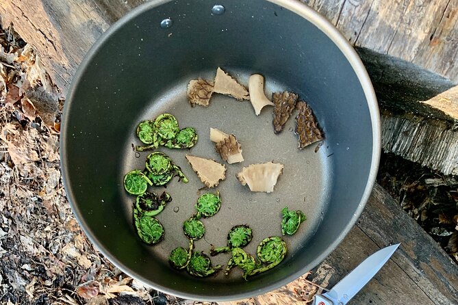 Backcountry Eats & Foraging Treats - Pricing and Cancellation