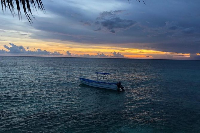 Bahía De Las Águilas Glamping Experience From Santo Domingo - Exploring Bahia De Las Aguilas