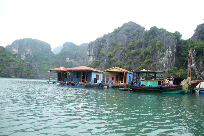 Bai Tu Long Bay Boutique Cruise: Visit Bai Tu Long Bay & Overnight Boat in 2 Day - Recommendations for Travelers