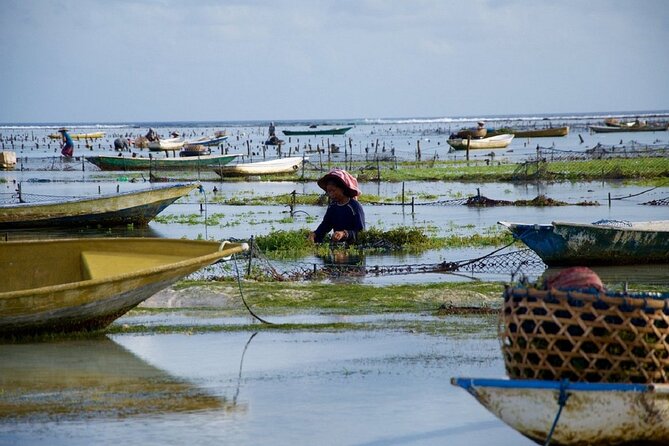 Bali 2 Days and 1 Nights of Nusa Penida and Lembongan Tour - Tips for a Great Experience