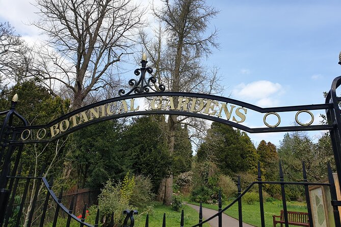 Bath - (4 Hours) Extended Walking Tour - Blue Badge Guide - Personalized Experience