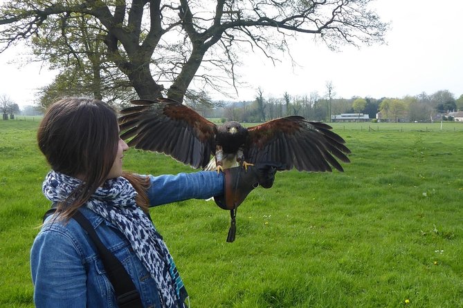 Bath City Tour & Fly a Hawk Experience - Day Tour From Bath - Highlights