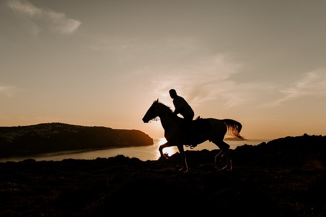 Beach Gallop - Horse Riding Safari for Experienced Riders - Flexible Cancellation Policy