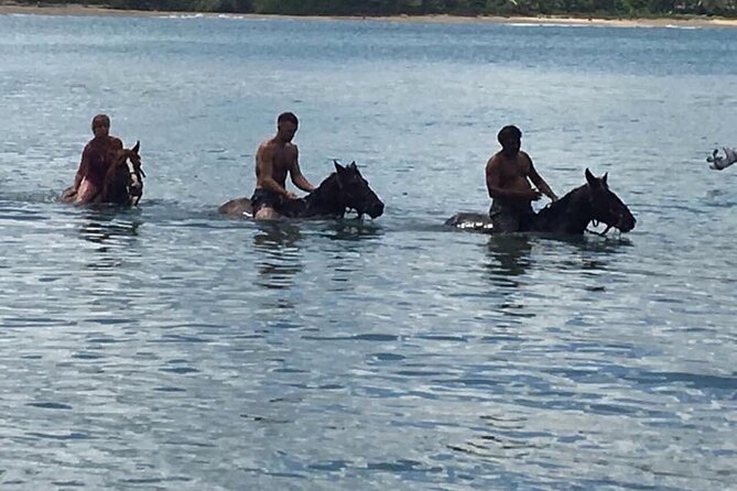 Beach Horse Ride and Countryside Amber Cove & Taino Bay - Positive Guest Feedback
