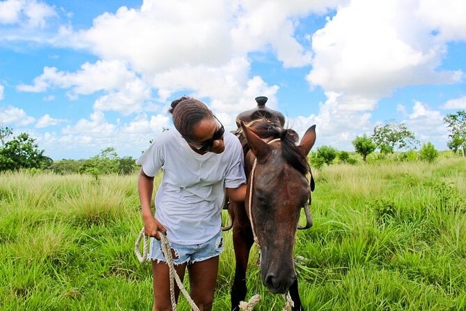 Beach Horse Ride Punta Cana - El Limon & La Sabana De Nisibon - Frequently Asked Questions