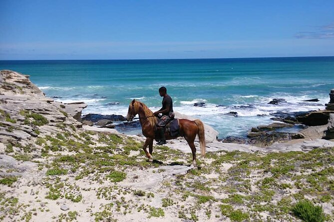 Beach Ride - Stanford - Frequently Asked Questions