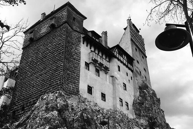 Bear Sanctuary and Bran Castle From Brasov - Bear Sanctuary