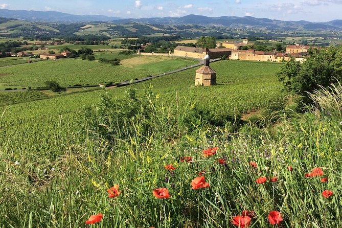Beaujolais Wine Discovery - Private Tour - Half Day - Transportation