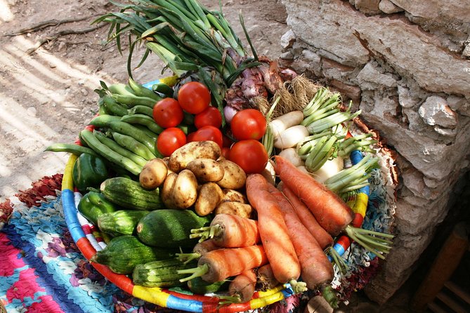 Berber Cooking Class at a Farm in the Countryside & Shopping at a Rural Souk. - Pricing and Payment Options