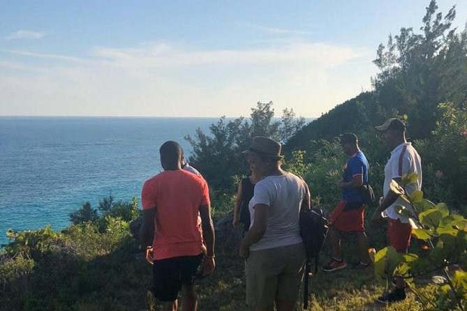 Bermuda Railway Trail and Off The Beaten Path Walking Experience - Wildlife and Natural Landscapes