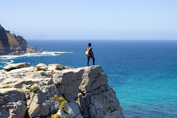 Best of Cape Town Cape Point and Wineries Combined Private Tour - Exploring Simons Town and Boulders Beach