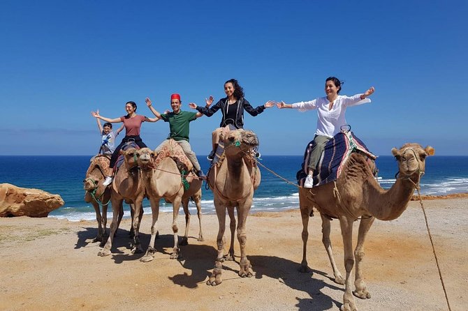 Best of Tangier: Camel Ride, Medina Walk & Breathtaking Views - Cancellation Policy