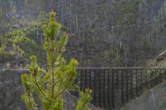 Bicyle Tour on Historical Kettle Valley Railway From Myra Canyon to Penticton - Health and Safety Considerations